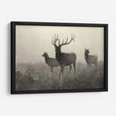 Alces Americano - Robert Hinshelwood | Cuadro decorativo de Canvas Lab