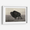 Bisonte Americano - Robert Hinshelwood | Cuadro decorativo de Canvas Lab