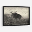 Moose Americano - Robert Hinshelwood | Cuadro decorativo de Canvas Lab