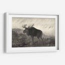 Moose Americano - Robert Hinshelwood | Cuadro decorativo de Canvas Lab