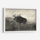Moose Americano - Robert Hinshelwood | Cuadro decorativo de Canvas Lab