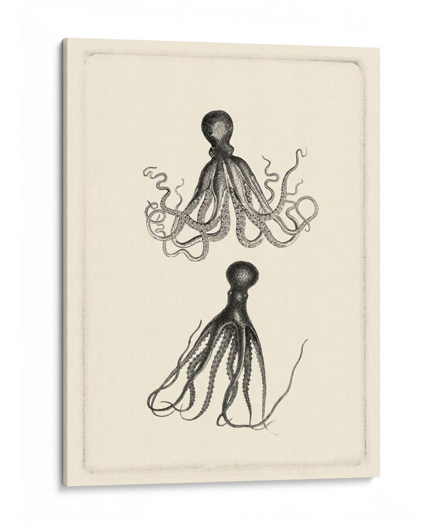 Sepia Octopus - Vision Studio | Cuadro decorativo de Canvas Lab