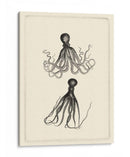 Sepia Octopus - Vision Studio | Cuadro decorativo de Canvas Lab