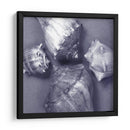 Cáscara Convergencia Iv - Renee W. Stramel | Cuadro decorativo de Canvas Lab