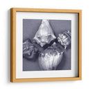 Convergencia De Cáscara V - Renee W. Stramel | Cuadro decorativo de Canvas Lab