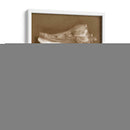 Conchas Sensuales I - Renee W. Stramel | Cuadro decorativo de Canvas Lab