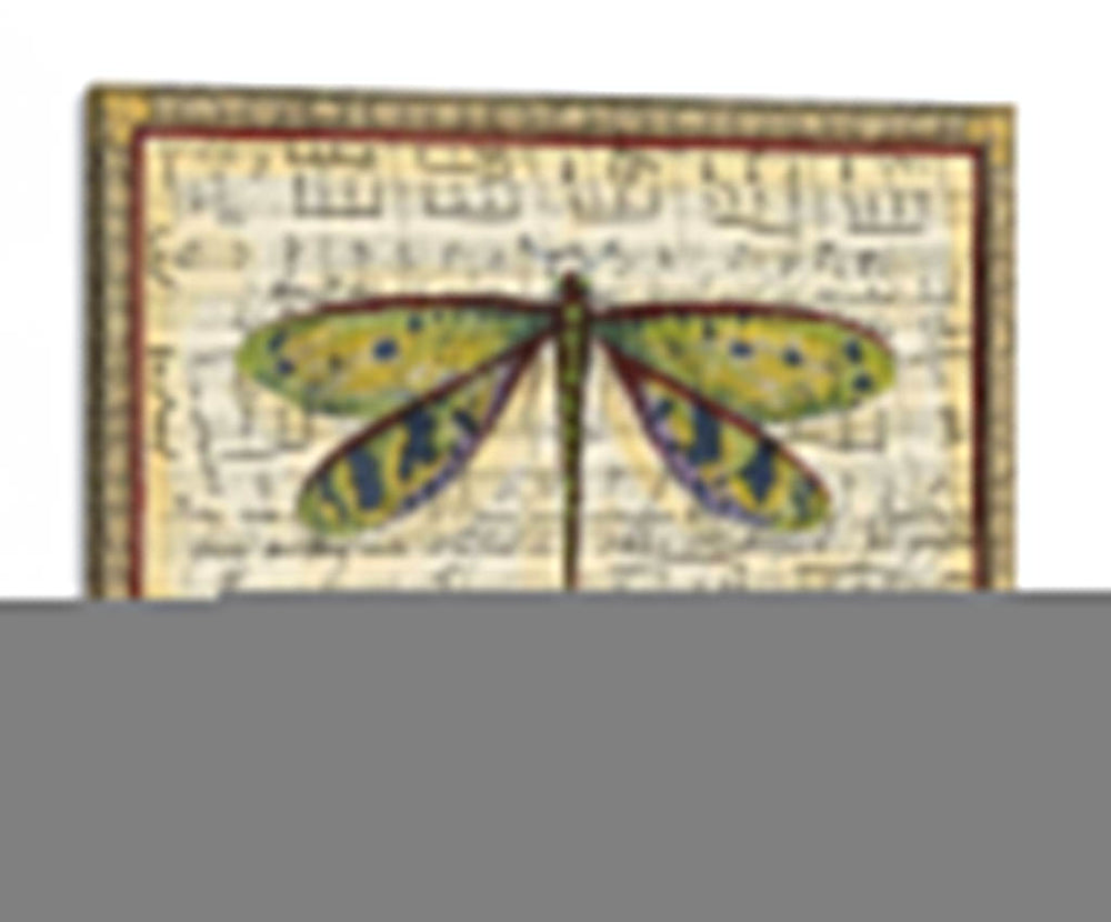 Dragonfly Harmony Ii - Vision Studio | Cuadro decorativo de Canvas Lab