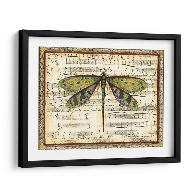 Dragonfly Harmony Ii - Vision Studio | Cuadro decorativo de Canvas Lab