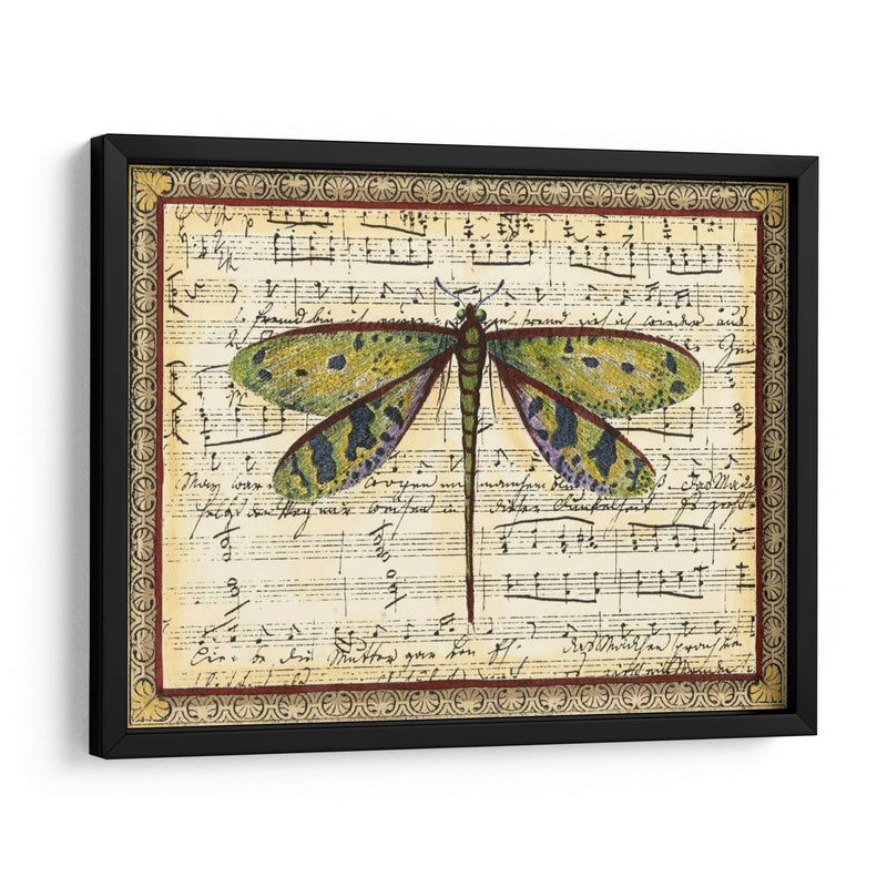 Dragonfly Harmony Ii - Vision Studio | Cuadro decorativo de Canvas Lab