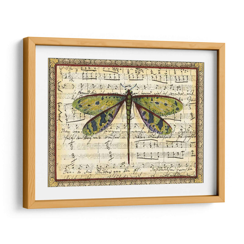 Dragonfly Harmony Ii - Vision Studio | Cuadro decorativo de Canvas Lab