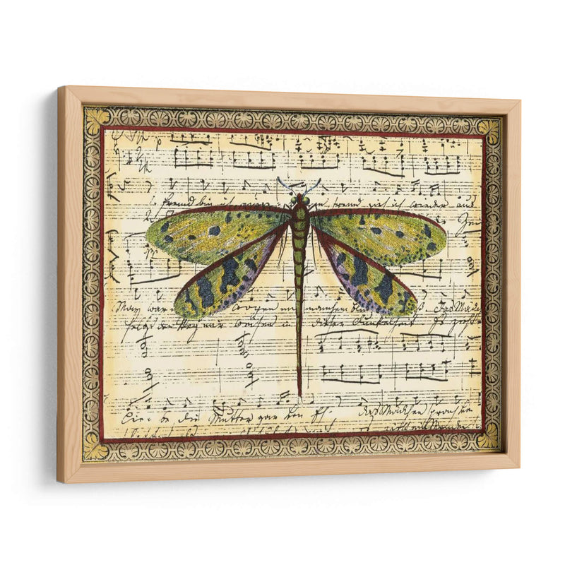 Dragonfly Harmony Ii - Vision Studio | Cuadro decorativo de Canvas Lab