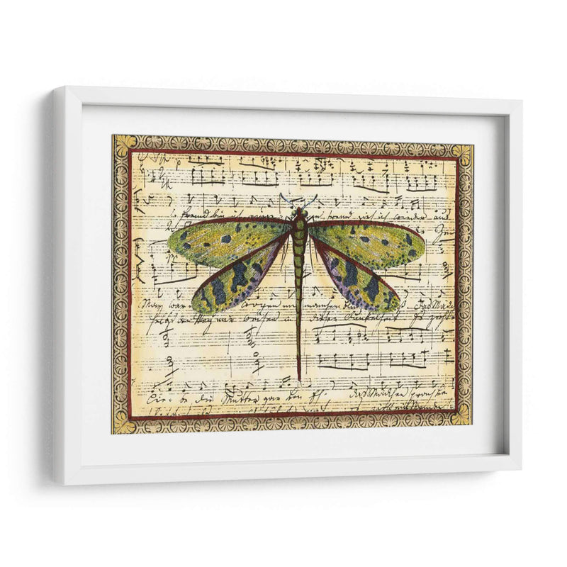 Dragonfly Harmony Ii - Vision Studio | Cuadro decorativo de Canvas Lab