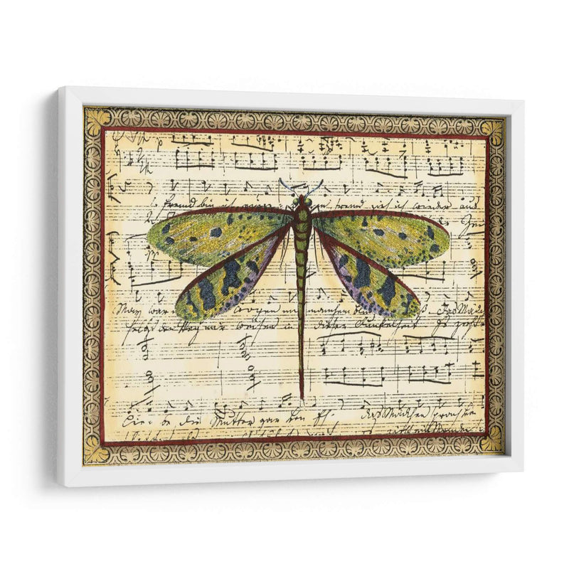 Dragonfly Harmony Ii - Vision Studio | Cuadro decorativo de Canvas Lab