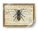 Bumblebee Harmony I - Vision Studio | Cuadro decorativo de Canvas Lab