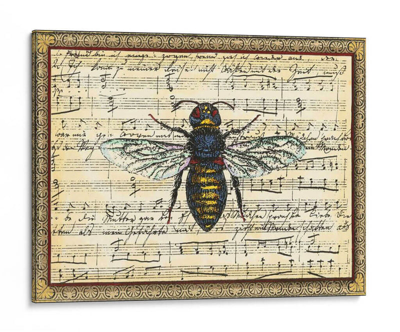 Bumblebee Harmony Ii - Vision Studio | Cuadro decorativo de Canvas Lab