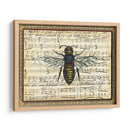 Bumblebee Harmony Ii - Vision Studio | Cuadro decorativo de Canvas Lab