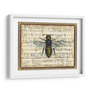 Bumblebee Harmony Ii - Vision Studio | Cuadro decorativo de Canvas Lab