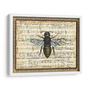 Bumblebee Harmony Ii - Vision Studio | Cuadro decorativo de Canvas Lab