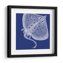 Vida Marina Saturada Iii - Vision Studio | Cuadro decorativo de Canvas Lab