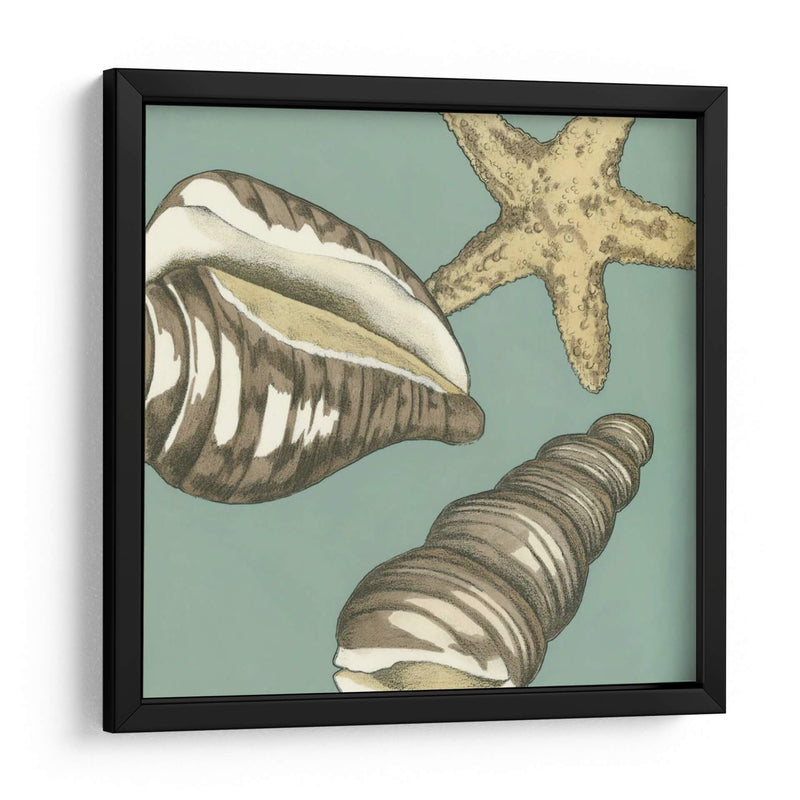 Small Shell Trío En Azul I - Megan Meagher | Cuadro decorativo de Canvas Lab