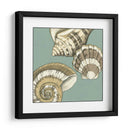 Trío De Cáscara Pequeña En Azul Ii - Megan Meagher | Cuadro decorativo de Canvas Lab