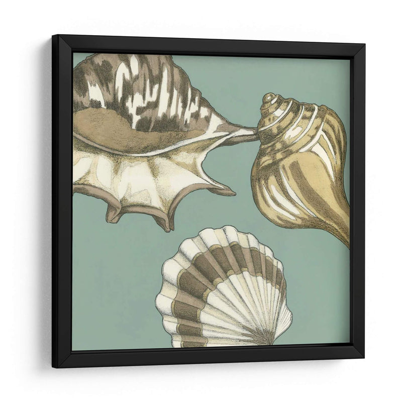 Small Shell Trío En Azul Iii - Megan Meagher | Cuadro decorativo de Canvas Lab