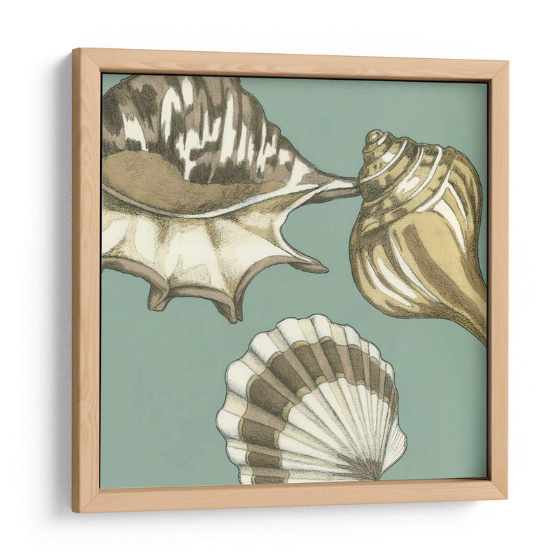 Small Shell Trío En Azul Iii - Megan Meagher | Cuadro decorativo de Canvas Lab