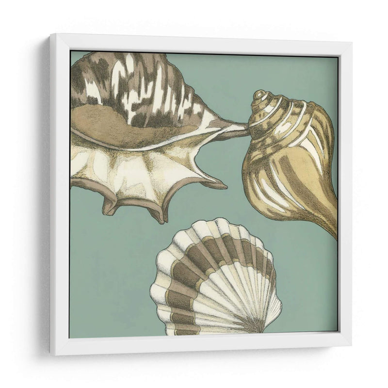 Small Shell Trío En Azul Iii - Megan Meagher | Cuadro decorativo de Canvas Lab