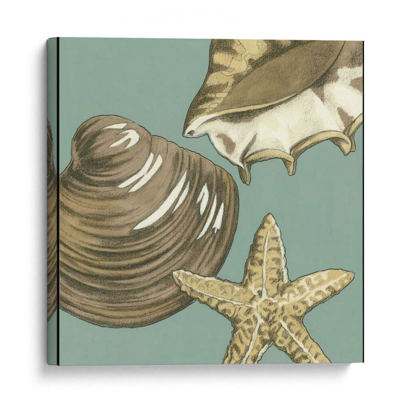 Trio Shell Pequeño En Blue Iv - Megan Meagher | Cuadro decorativo de Canvas Lab