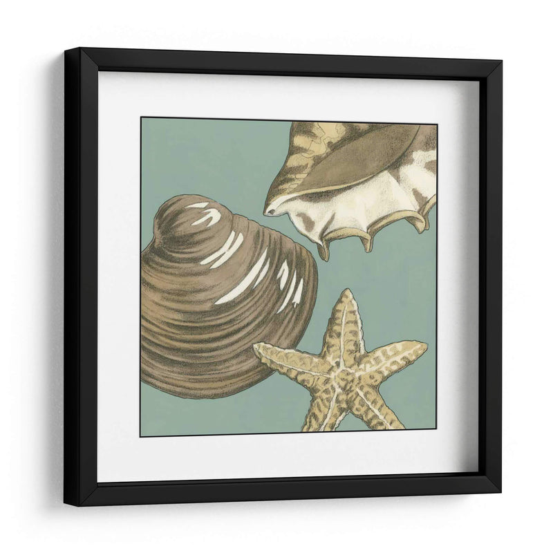 Trio Shell Pequeño En Blue Iv - Megan Meagher | Cuadro decorativo de Canvas Lab