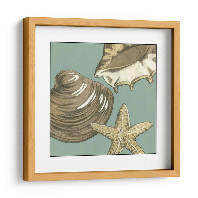 Trio Shell Pequeño En Blue Iv - Megan Meagher | Cuadro decorativo de Canvas Lab