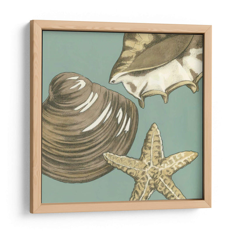 Trio Shell Pequeño En Blue Iv - Megan Meagher | Cuadro decorativo de Canvas Lab