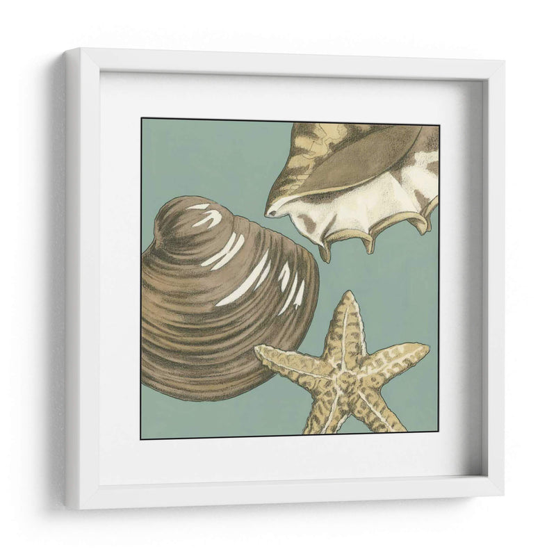 Trio Shell Pequeño En Blue Iv - Megan Meagher | Cuadro decorativo de Canvas Lab