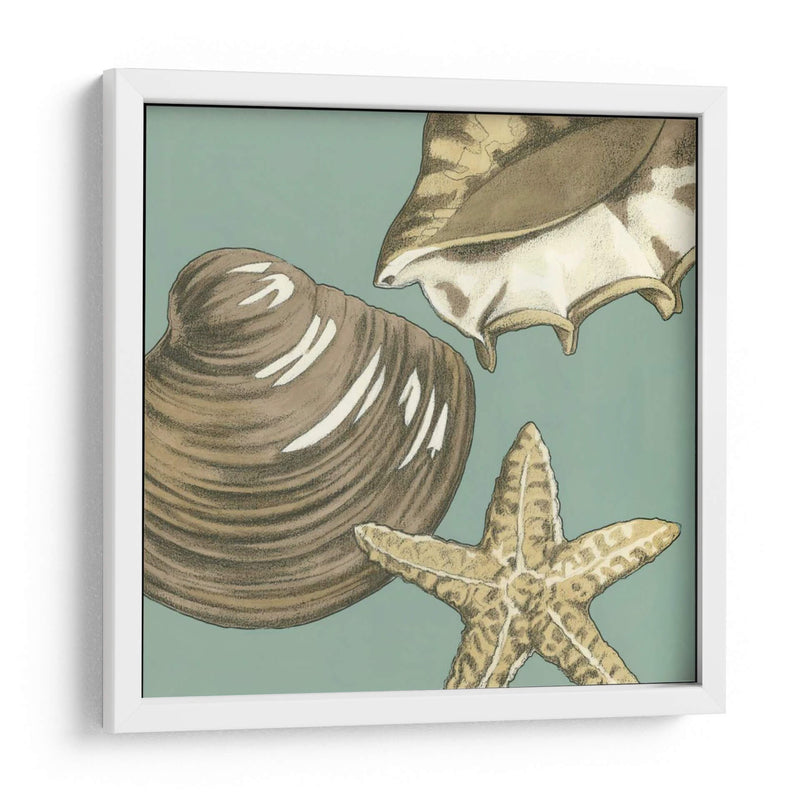 Trio Shell Pequeño En Blue Iv - Megan Meagher | Cuadro decorativo de Canvas Lab