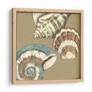 Small Shell Trío En Caqui Ii - Megan Meagher | Cuadro decorativo de Canvas Lab