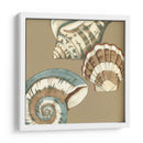 Small Shell Trío En Caqui Ii - Megan Meagher | Cuadro decorativo de Canvas Lab