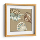 Small Shell Trío En Caqui Iii - Megan Meagher | Cuadro decorativo de Canvas Lab