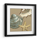 Pequeño Trío De Concha En Caqui Iv - Megan Meagher | Cuadro decorativo de Canvas Lab
