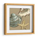 Pequeño Trío De Concha En Caqui Iv - Megan Meagher | Cuadro decorativo de Canvas Lab