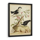Hábitat Natural I - George Edwards | Cuadro decorativo de Canvas Lab