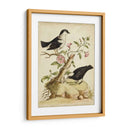 Hábitat Natural I - George Edwards | Cuadro decorativo de Canvas Lab