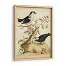 Hábitat Natural I - George Edwards | Cuadro decorativo de Canvas Lab