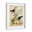 Hábitat Natural I - George Edwards | Cuadro decorativo de Canvas Lab