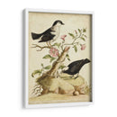 Hábitat Natural I - George Edwards | Cuadro decorativo de Canvas Lab