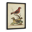 Cuentas Cruzadas De Edwards - George Edwards | Cuadro decorativo de Canvas Lab