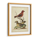 Cuentas Cruzadas De Edwards - George Edwards | Cuadro decorativo de Canvas Lab