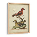 Cuentas Cruzadas De Edwards - George Edwards | Cuadro decorativo de Canvas Lab