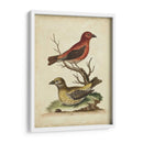 Cuentas Cruzadas De Edwards - George Edwards | Cuadro decorativo de Canvas Lab