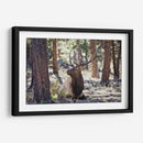 Estudiar Elk I - David Drost | Cuadro decorativo de Canvas Lab