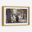 Estudiar Elk I - David Drost | Cuadro decorativo de Canvas Lab